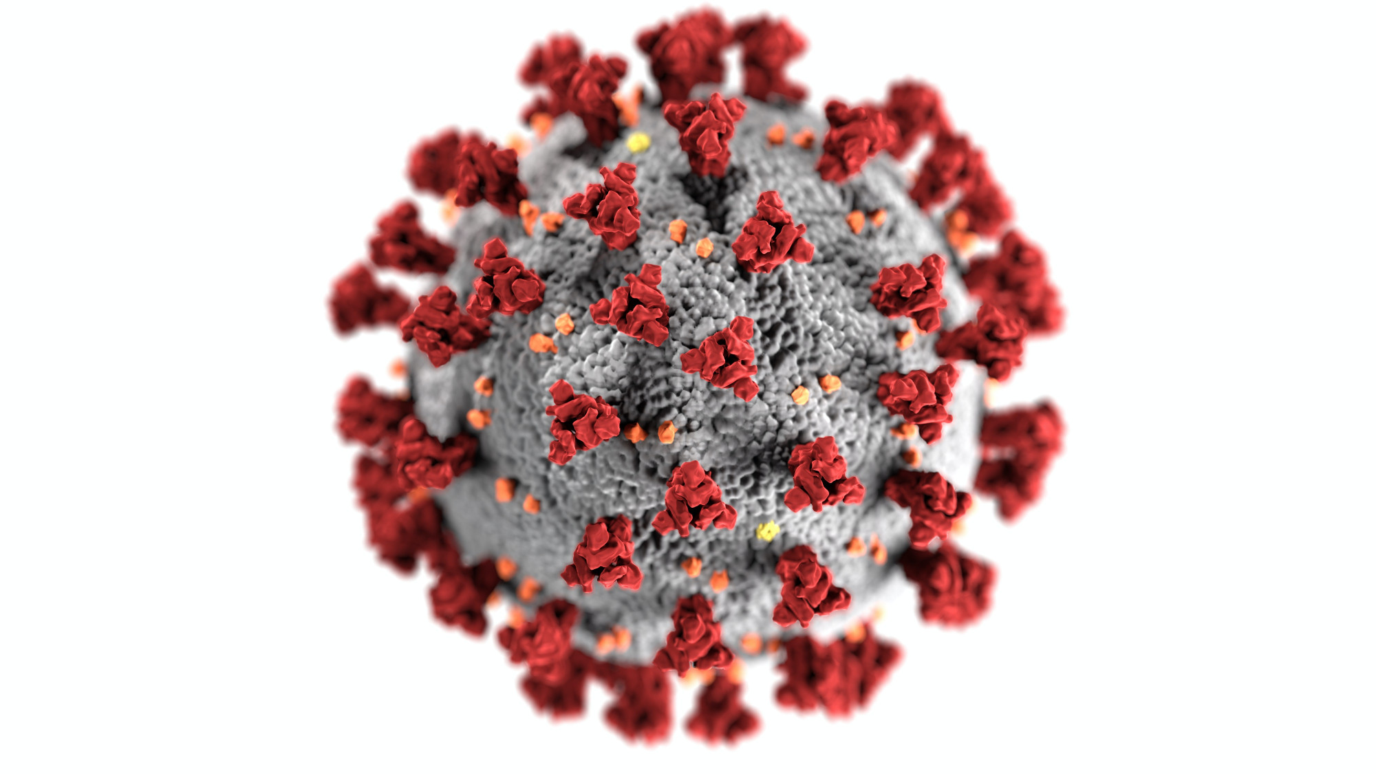 Bild eines Coronavirus